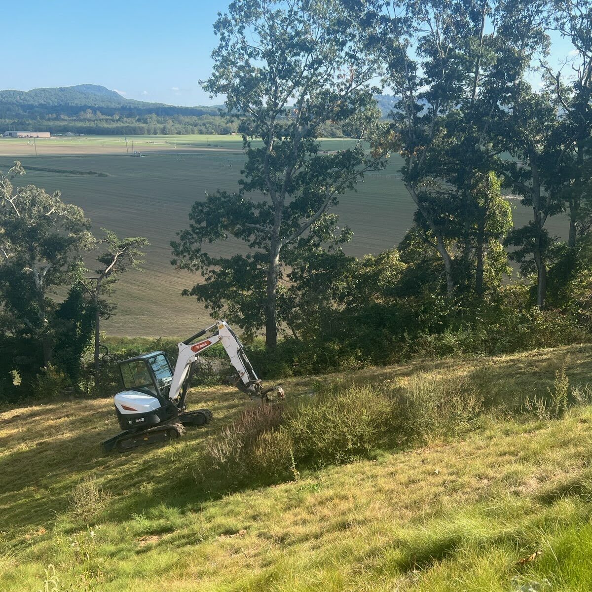 Excavator doing bush hogging and brush control