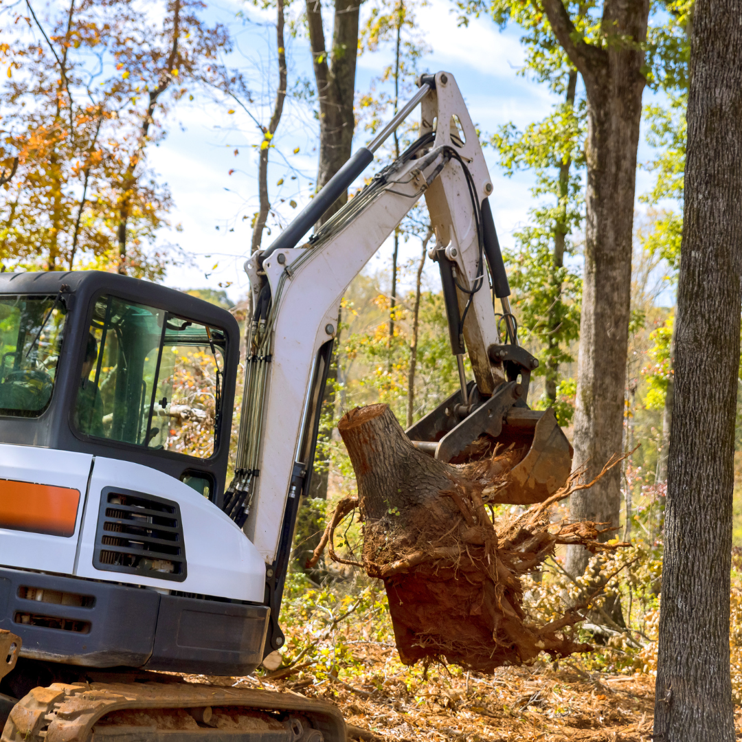 Excavator removing a stump while clearing a piece of land